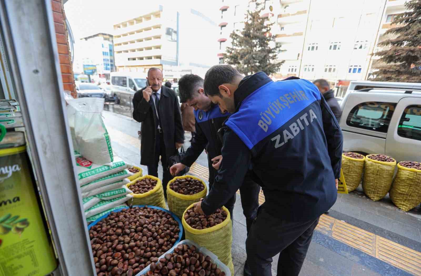 Van’da ‘Çin kestanesi’ denetimi