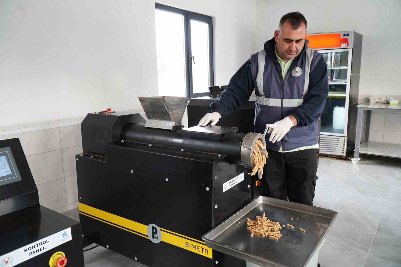 Yalova Altınova’da yemek atıkları sokak hayvanlarına mama oluyor