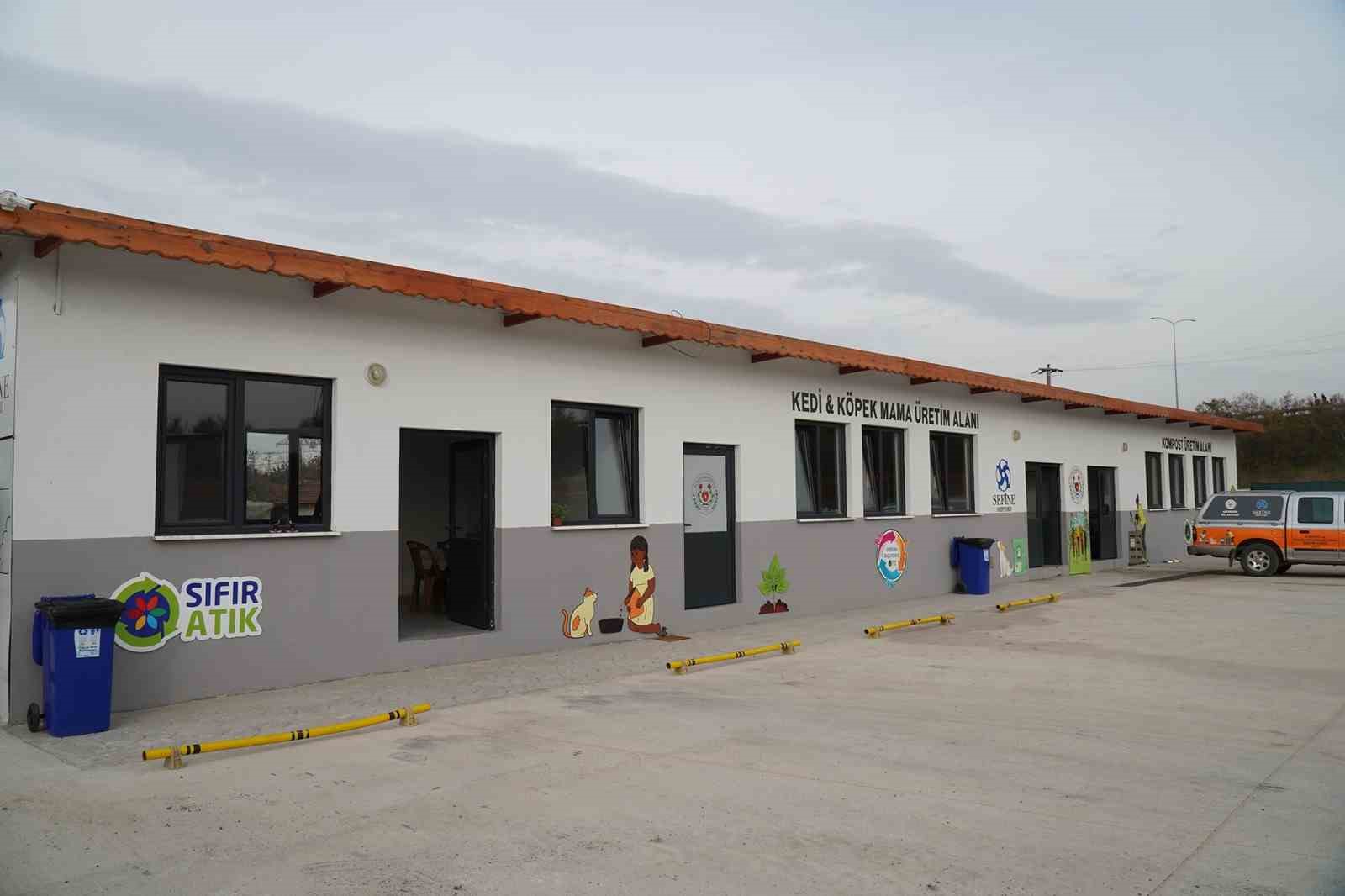 Yalova Altınova&rsquo;da yemek atıkları sokak hayvanlarına mama oluyor
