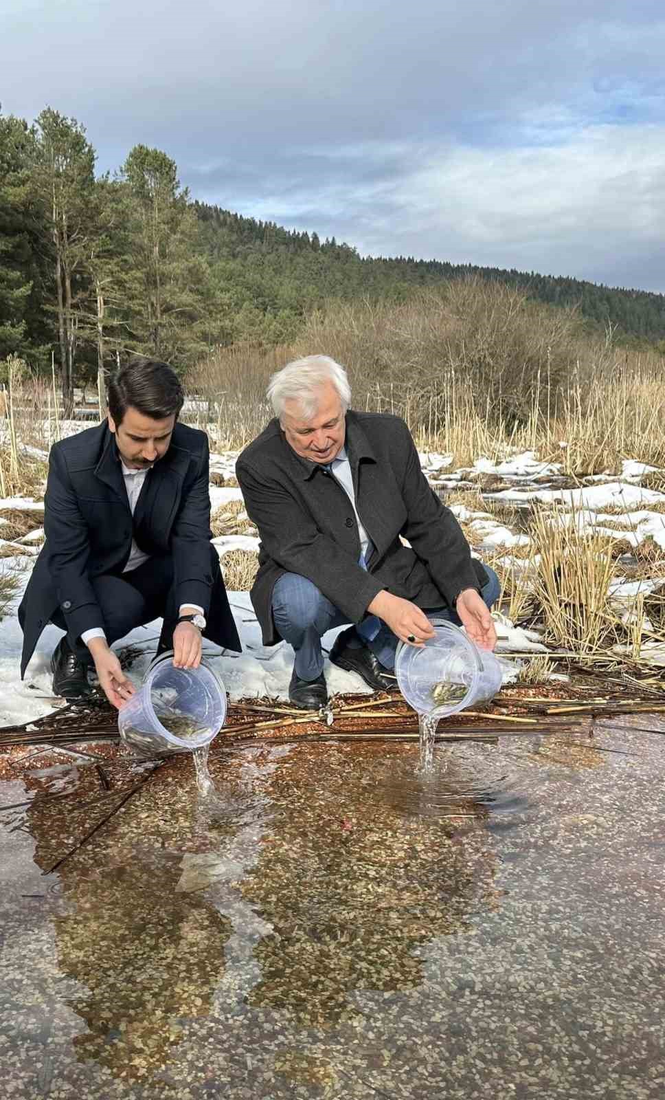 Abant Gölü Milli Parkı’na 3 bin 500 yavru balık bırakıldı
