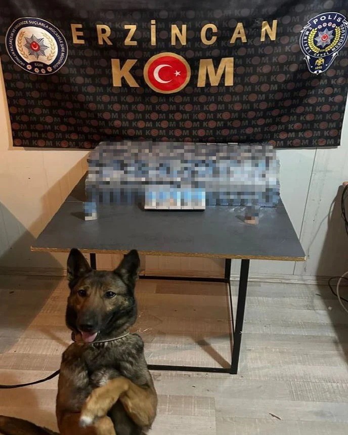 Erzincan’da kaçak sigara operasyonu: 1 gözaltı