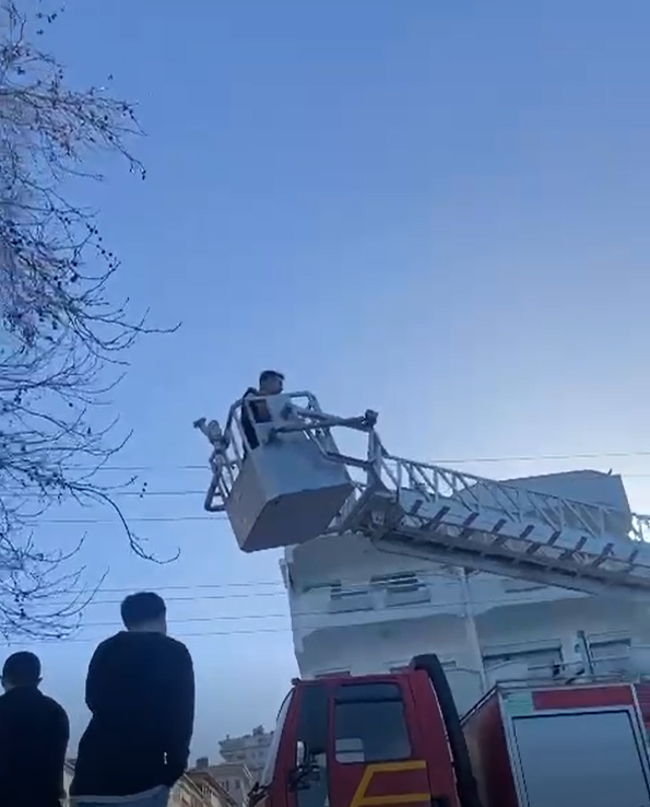 Yalova&rsquo;da ağa&ccedil;ta mahsur kalan kediyi itfaiye kurtardı
