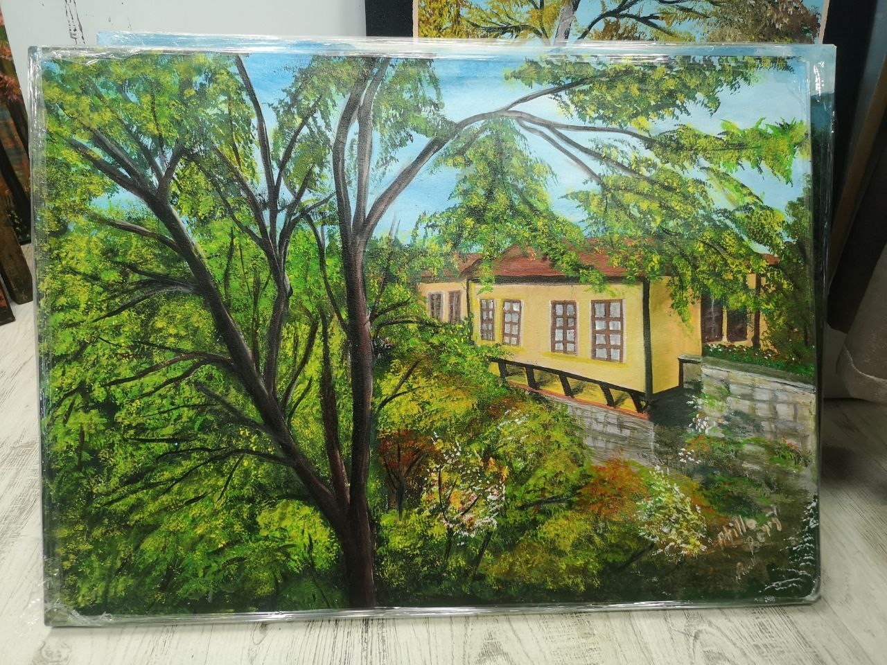 Hem profesyonel fotoğraf&ccedil;ı hem de ressam
