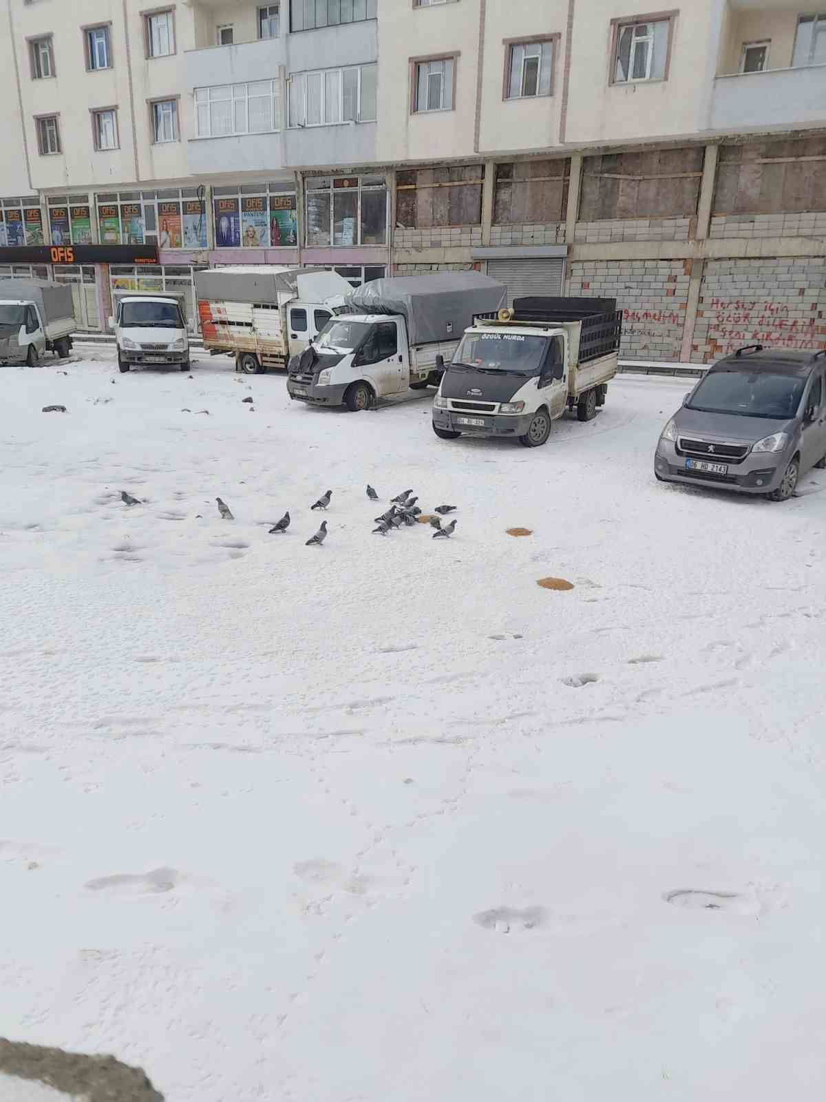 Ağrı&rsquo;da soğuk hava sokak hayvanlarına zor anlar yaşatıyor
