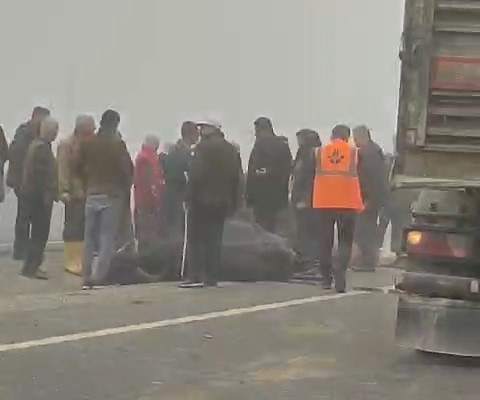 Batman’da sis kazaya davetiye çıkardı: İki inek telef oldu