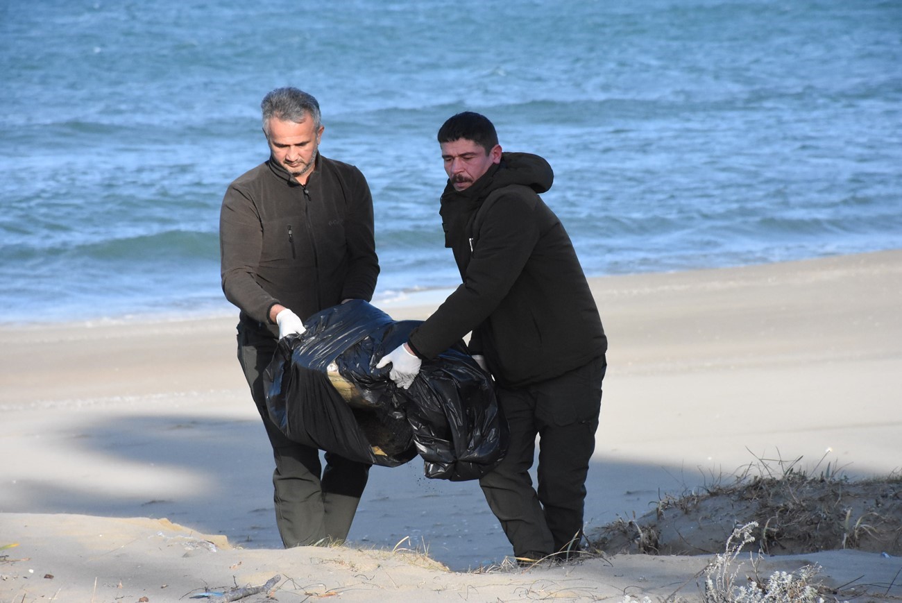 Sinop’ta nesli tükenmekte olan caretta caretta ölü halde bulundu
