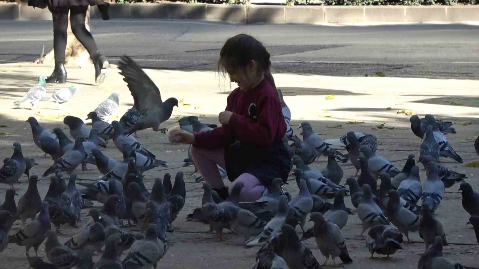 Güneş açtı, parklar doldu
