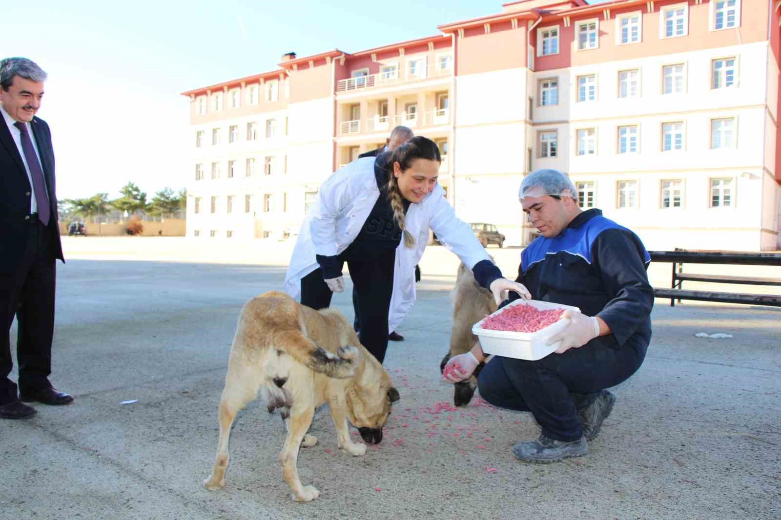 Amasya’da meslek liseliler yemek artıklarını kedi ve köpek mamasına dönüştürdü