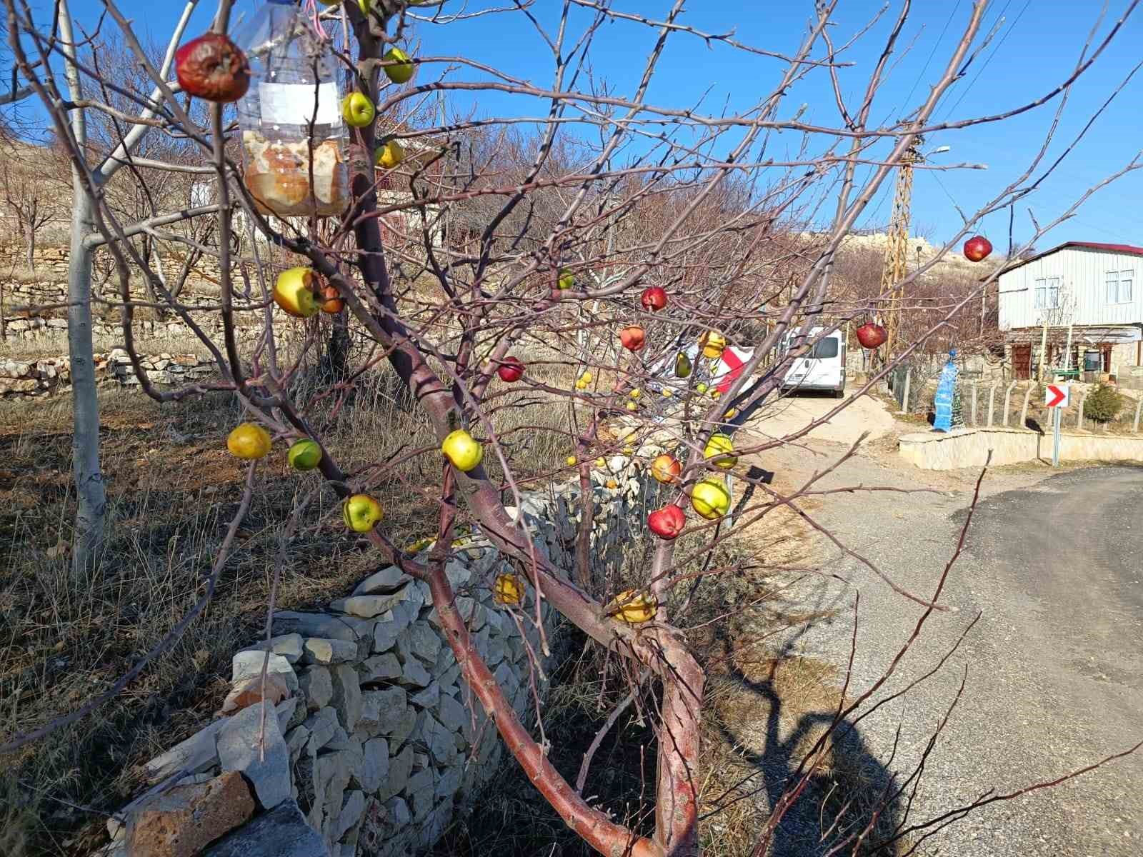 Emekli asker yaban hayvanları i&ccedil;in doğaya yem bırakıyor
