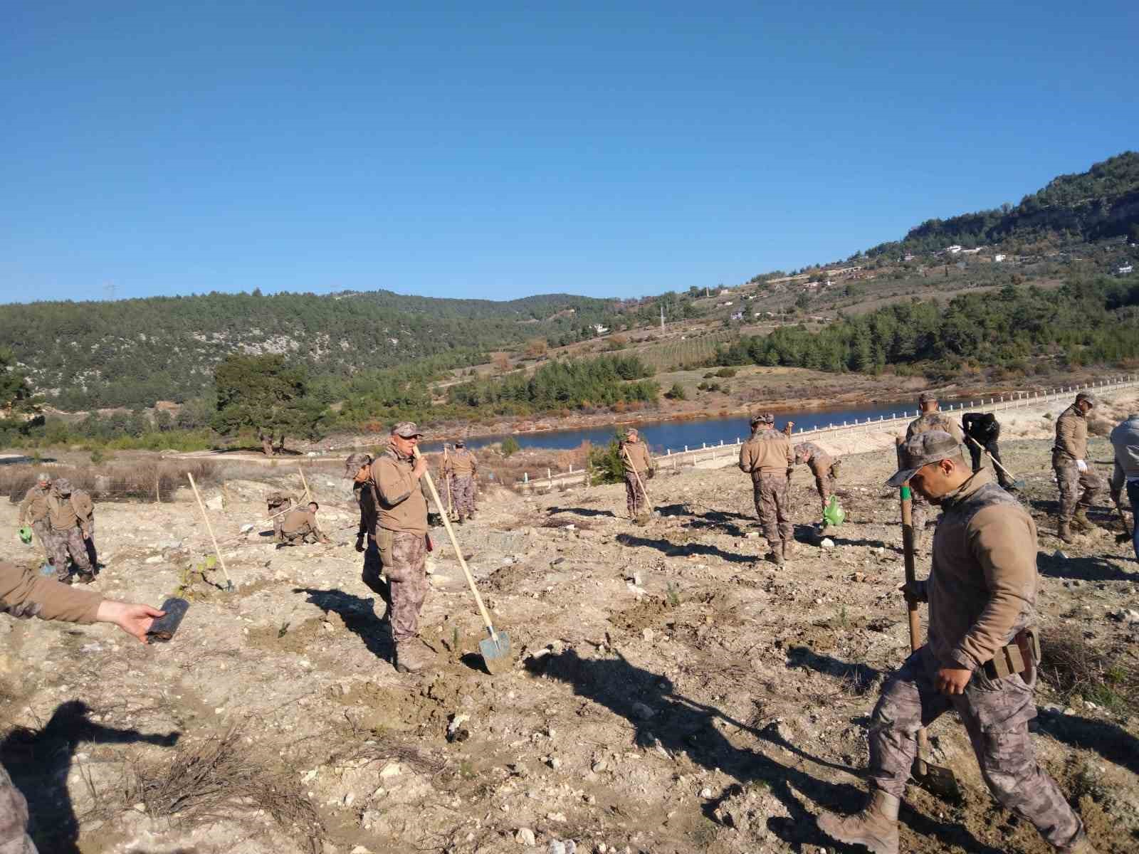 Bin fıstıkçamı ve harnup fidanı toprakla buluştu
