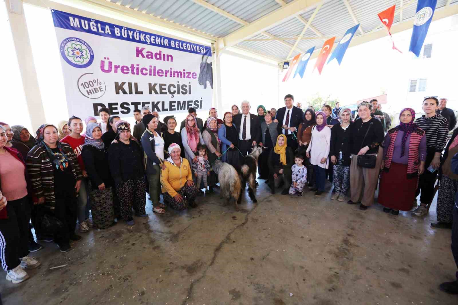 Büyükşehirden Seydikemer’li kadın üreticilere kıl keçesi desteği