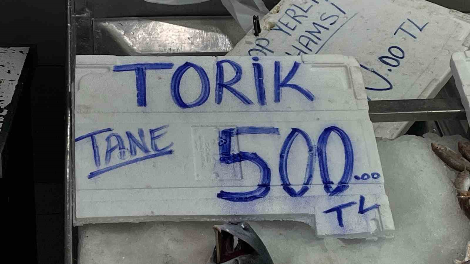 Sinop’ta 3 ve 5 kilogram arası torikler 500 TL
