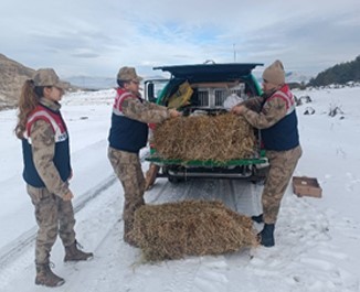 Ardahan’da jandarma yaban hayatı için doğaya yem bıraktı
