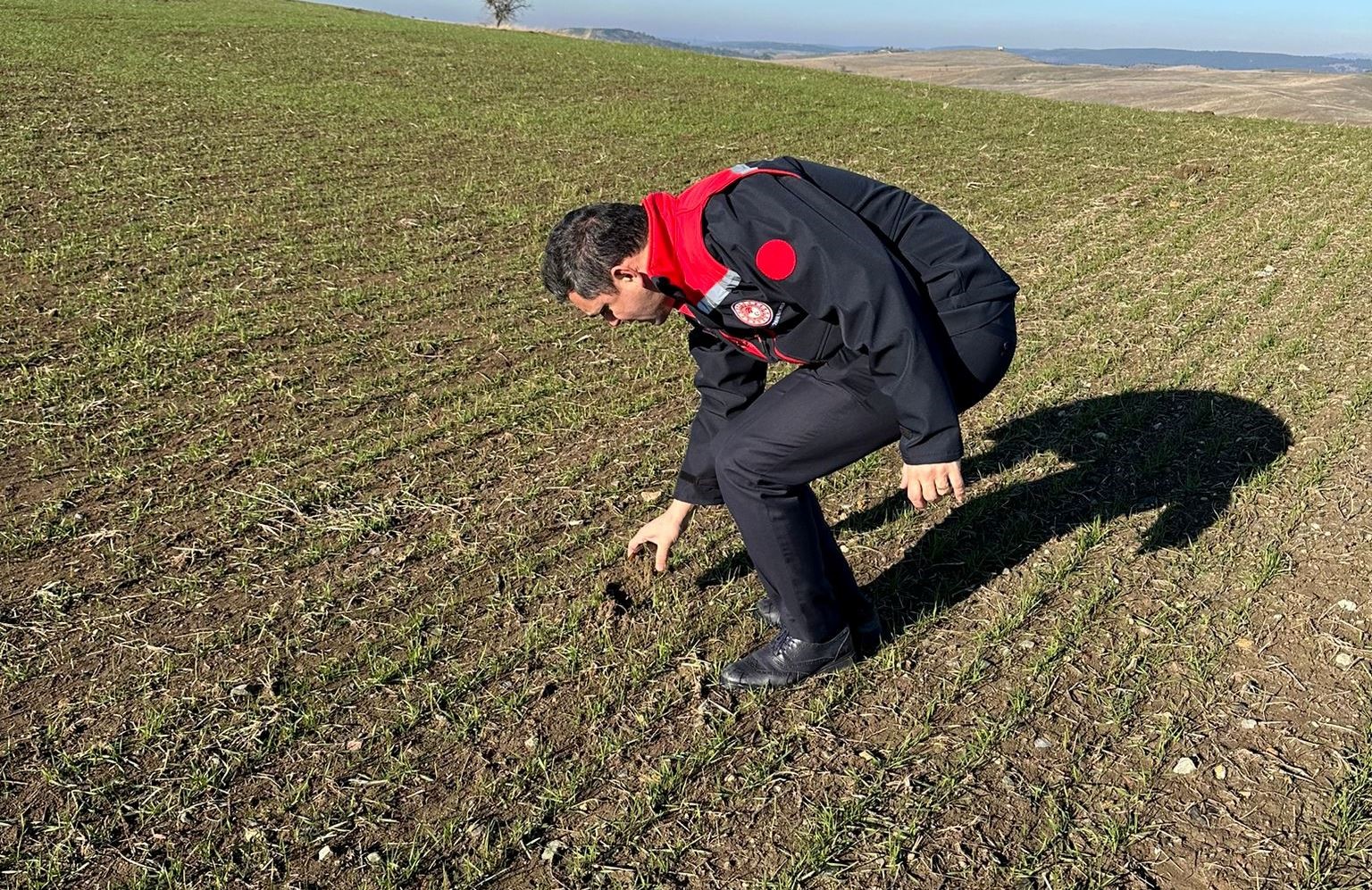 Kütahya’da hububat üretim alanlarında arazi kontrolleri