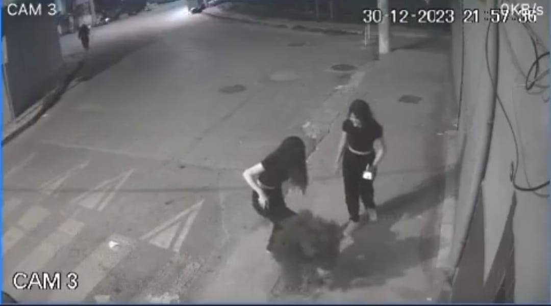 İzmir’de 2 genç kızın kaldırımdaki ağacı tekmeledikleri anlar kamerada
