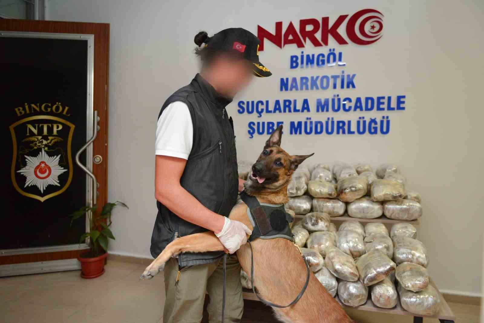 Polisin en b&uuml;y&uuml;k destek&ccedil;isi dedekt&ouml;r k&ouml;pekler
