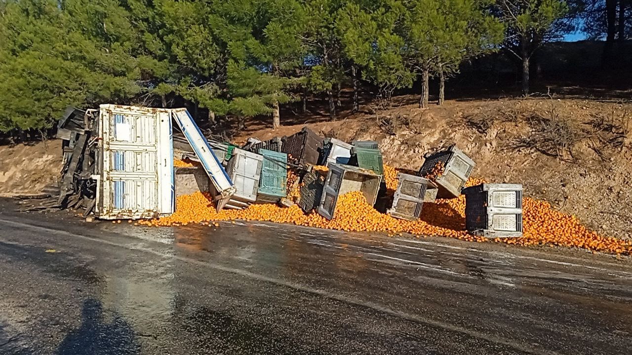 Kopan dorsedeki tonlarca mandalina yola saçıldı