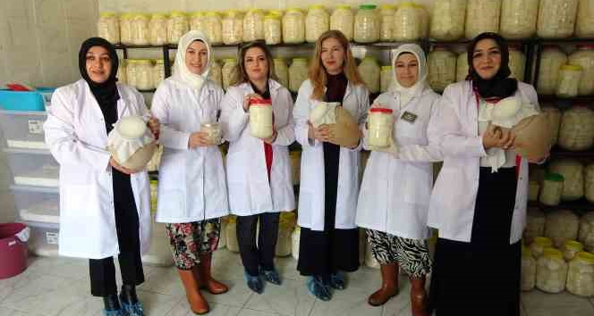 Ev kadınıyken iş kadını oldular