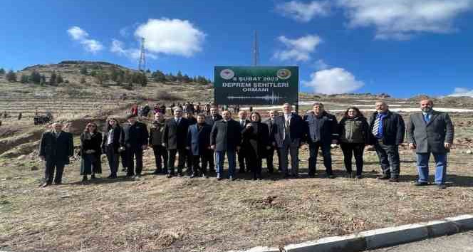 Nevşehir’de Deprem Şehitleri Ormanı’na ilk fidanlar dikildi