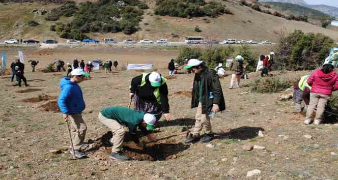Deprem şehitleri için Eğirdir’de 500 adet ardıç fidanı dikildi
