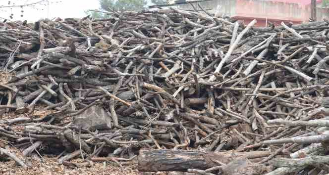 Yıkımdan sonra gaz tüketimi yerini oduna bıraktı