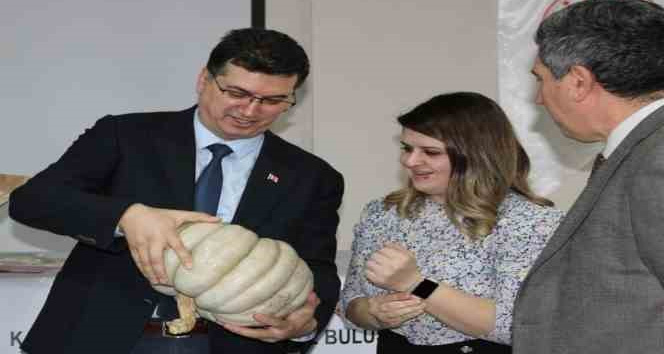Kırklareli’de "Vizeli Balkız" projesi toplantısı yapıldı