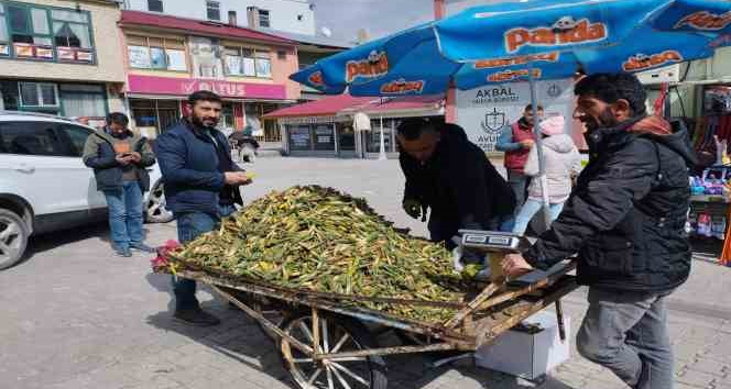 Gülbahar bitkisi tezgâhlarda yerini aldı