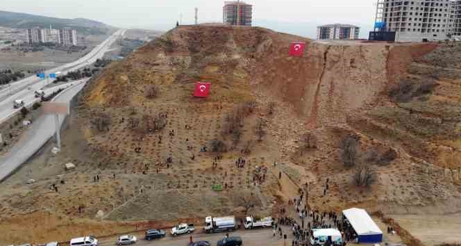 43 ilin geçiş güzergahı fidanlarla yeşerecek: Yüzlercesi toprakla buluşturuldu