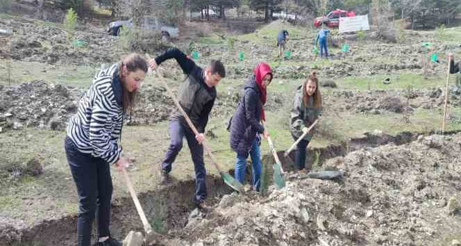 Tokat’ta “Deprem şehitleri hatıra ormanına” 2 Bin fidan dikildi