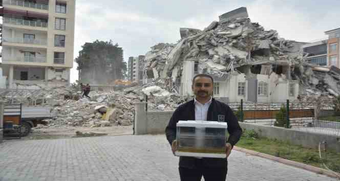 Depremde öldü diye düşündükleri balıkları 44 gün sonra canlı bulundu