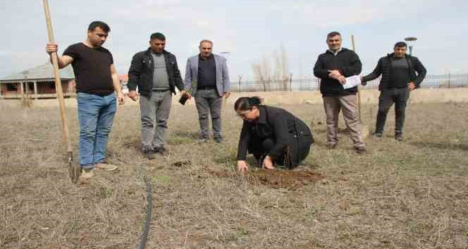 Cumhuriyet savcıları fidan dikti
