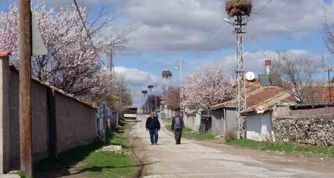 Göçmen köy, göçmen kuşları 60 yıldır misafir ediyor