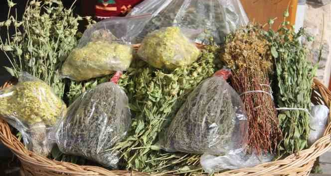 Anamas Dağı’ndan toplanan bitkiler rağbet görüyor