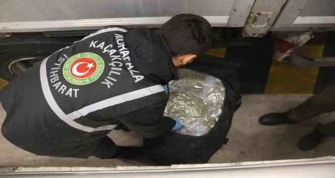 Zehir tacirlerine operasyon: 576 kilo uyuşturucu ele geçirildi, 28 kişi yakalandı