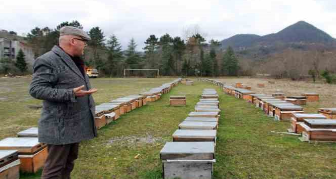 Arıcılara "ilkbahar bakımı" uyarısı