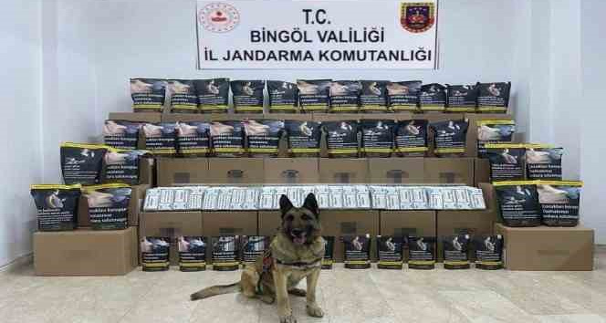 Bingöl’de 76 kilo kaçak tütün ele geçirildi: 1 gözaltı