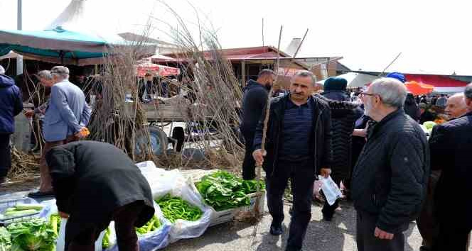 Erzincan’da meyve fidanı satışı başladı