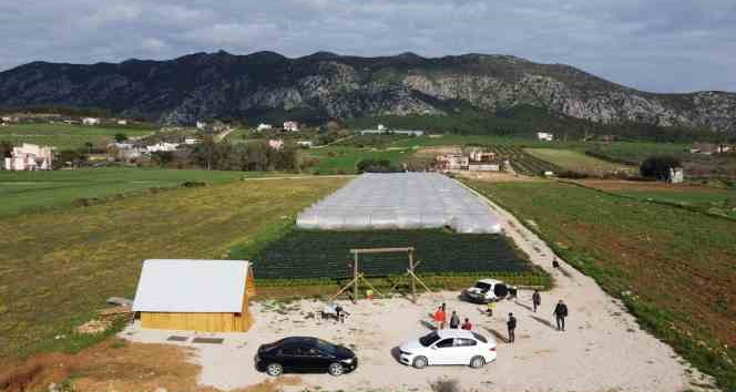 Suya kavuşan topraklarda üretim başladı