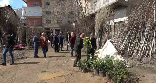 Muş’ta fidan satışları başladı