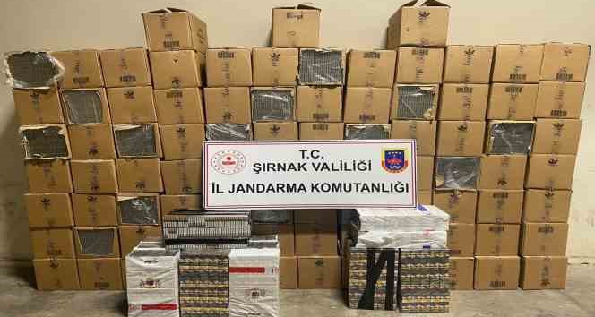 Şırnak’ta 48 bin 900 paket gümrük kaçağı sigara ele geçirildi
