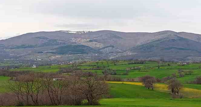 Balkan soğuklarının etkisine girecek Samsun’da ‘zirai don’ uyarısı