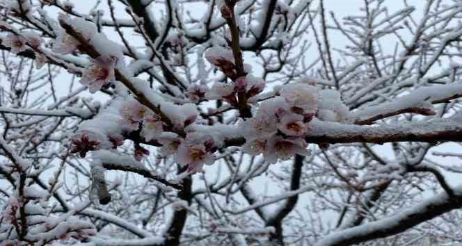 Yozgat’ta kar yağışı etkili oldu