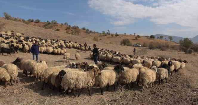 Siirtli çiftçilere 179 milyon 515 bin TL destek ödemesi yapıldı
