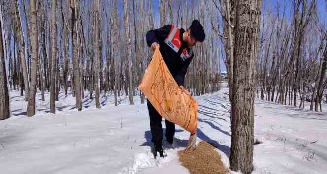 Jandarma doğaya yem bıraktı