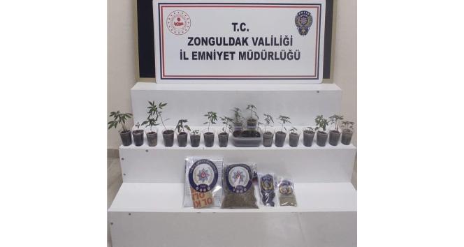 Zonguldak’ta uyuşturucu operasyonu: 1 gözaltı