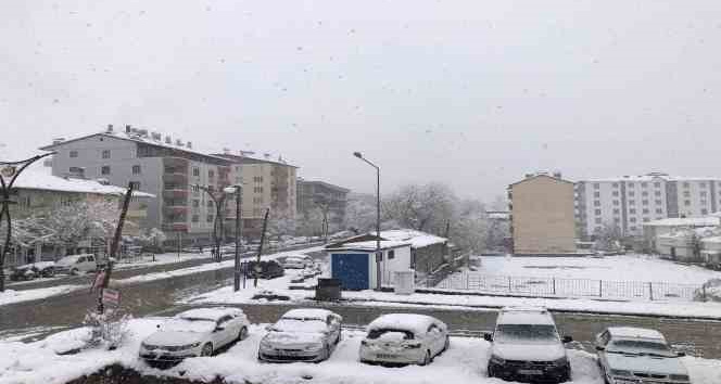 Hizan’da kar yağışı