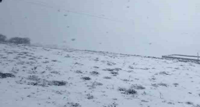 Mazıdağı beyaz örtüye büründü