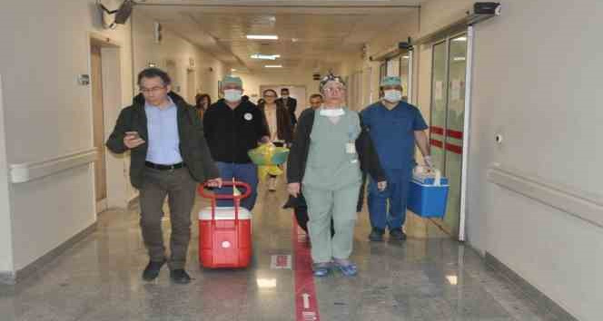 22 yaşındaki Arife’nin organları 4 hastaya umut oldu