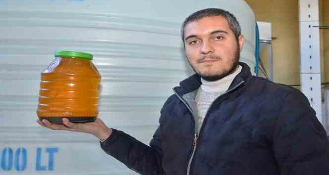 Elek altı çerezlik ayçiçeği, bu tesiste yağa ve küspeye dönüşüyor
