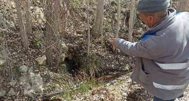 Yıllardır akan pınarlar kurudu, yeni su kaynakları oluştu
